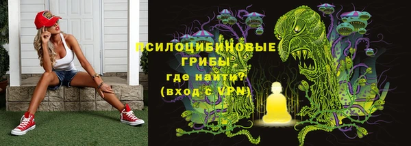 ALPHA PVP Алексин