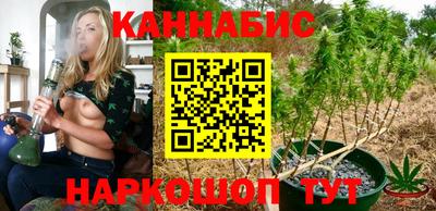 крисы Малоярославец