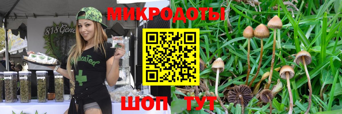 Миасс  Псилоцибиновые грибы MAGIC MUSHROOMS  Вход с VPN 