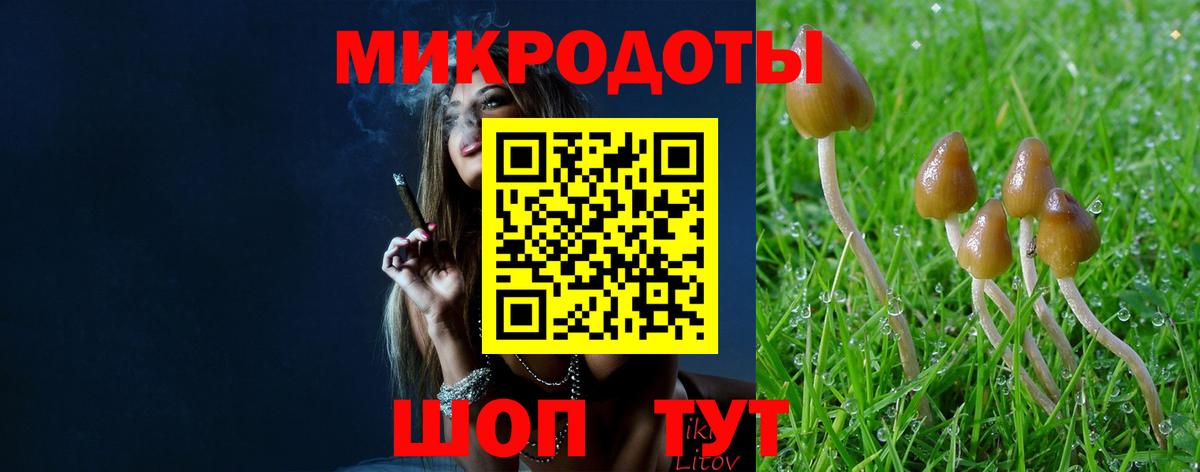 Псилоцибиновые грибы Cubensis Миасс